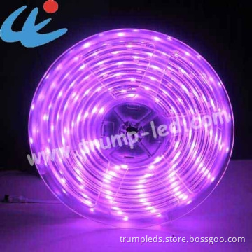 SMD 5050 Top Quality CE Waterproof LED Strips Light